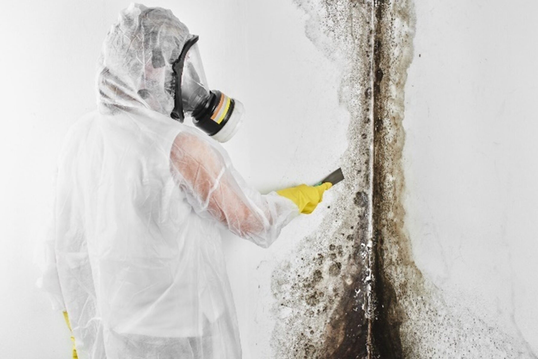 Person in protective gear removing mold from a wall with a tool, wearing a white suit, gloves, and a respirator mask.
